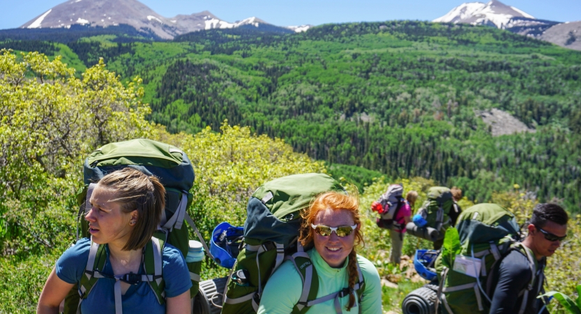 A group of people wearing backpacks stand above a vast green landscape, There are snow-capped mountains in the background. 